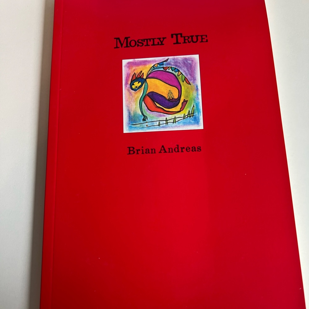 Mostly True by Brian Andres
